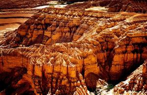 Zhada Earth Forest